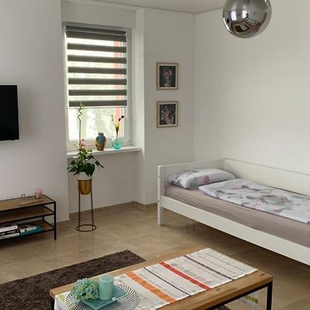 Grenznahe Ferienwohnung Mit 4 Schlafzimmern 그렌자흐뷜렌 외부 사진